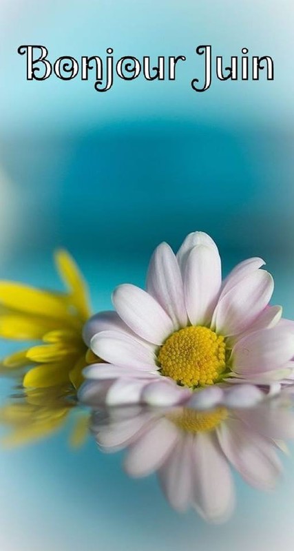 bienvenue juin