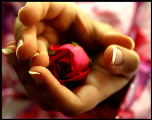 les plus grands ecrivains !fleur C7a48e25