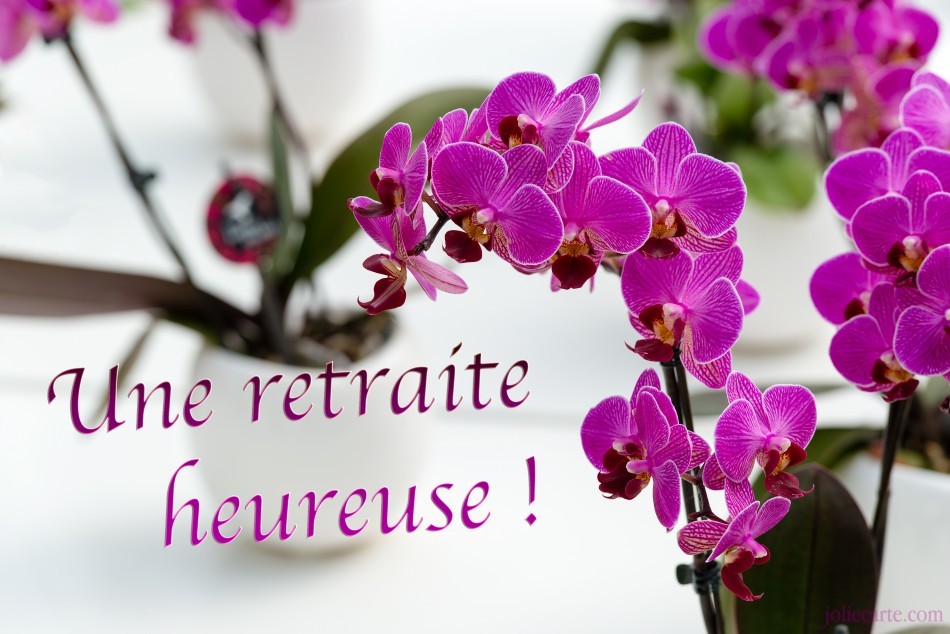 Vive Et Bonne Retraite Vive Et Bonne Retraite